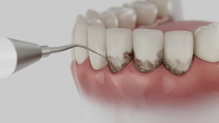Reliable Dental contractor in Discovery Harbour, HI by Dentist Open Now